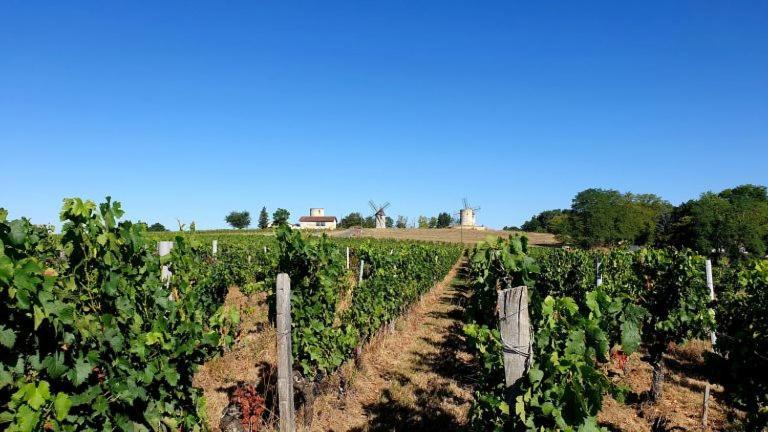 Chambre Saint Emilion - Le Clos D'Antan Hotel Les Artigues-de-Lussac Exterior photo